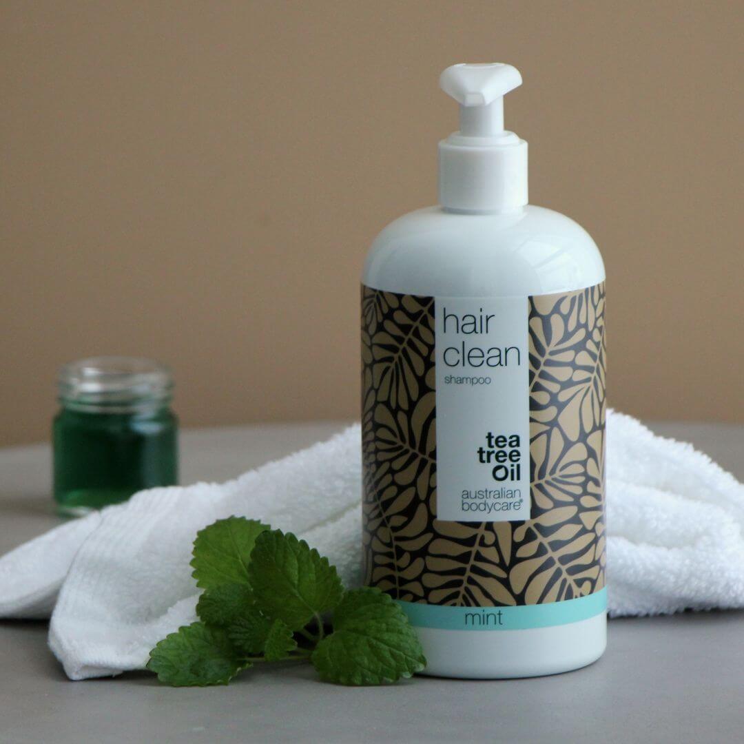 4 Tea Tree shampoo Mint 500 ml voor de prijs van 3 — pakketaanbieding - Pakketaanbieding met 4 shampoos (500 ml): Tea Tree Olie Mint