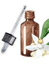 Verwen je zintuigen met etherische olie: Van aromatherapie tot huidverzorging