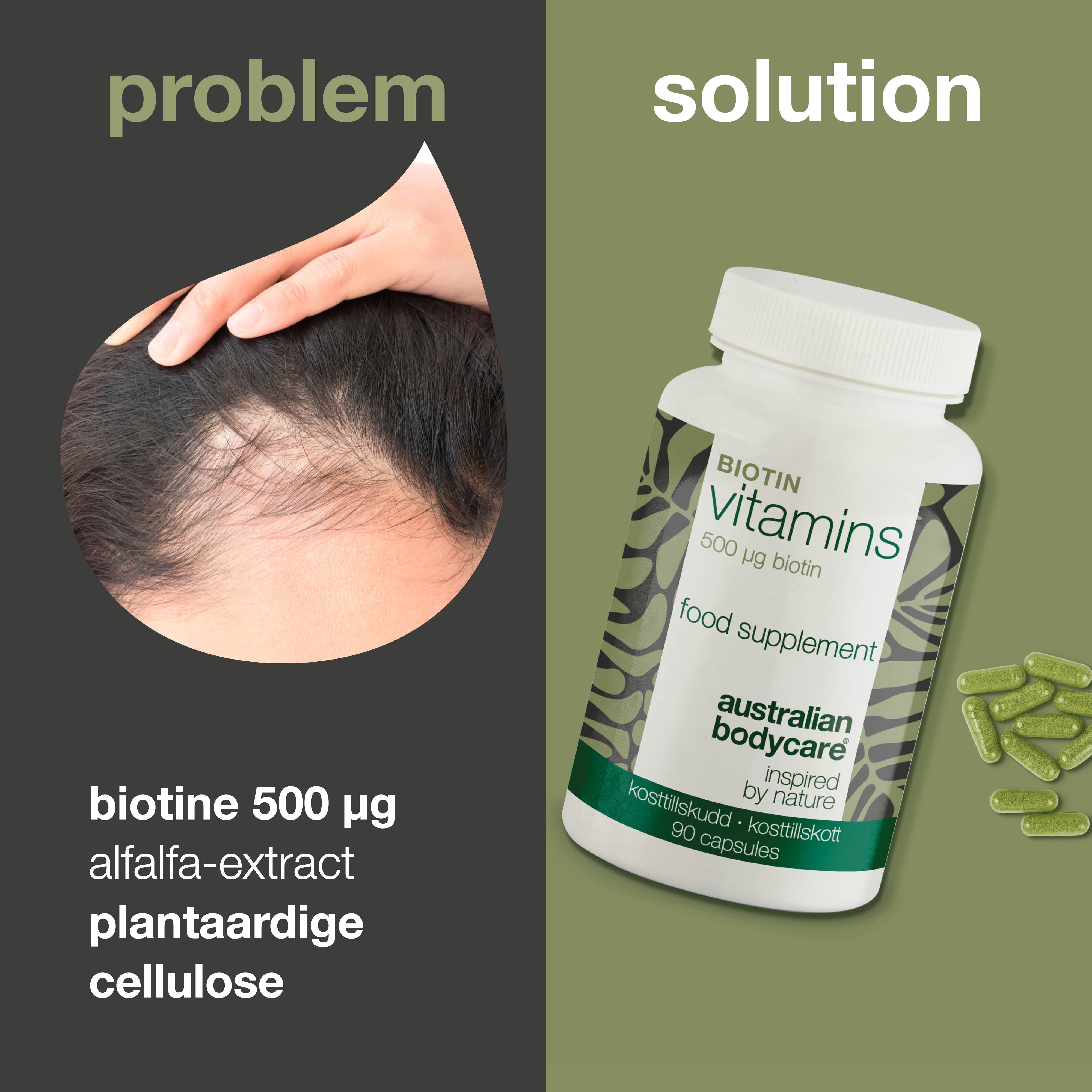 Biotine 500 µg – Dagelijks supplement met vitamine B7 – 90 stk. — Biotine 500 µg met vitamine B7 – voor dagelijks gebruik ter ondersteuning van huid, haar en slijmvliezen. Met biotine, alfalfa en cellulose.