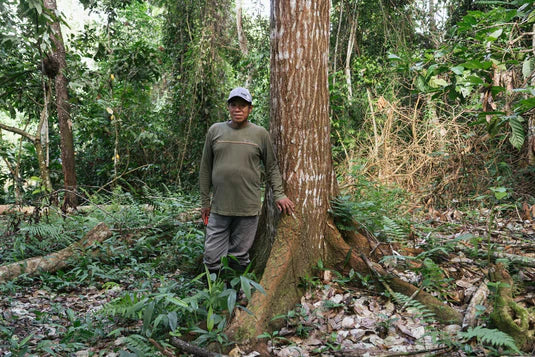 Wij steunen het werk van Cool Earth door bij te dragen aan projecten die onze grootste natuurlijke koolstofopslag – het regenwoud – beschermen.