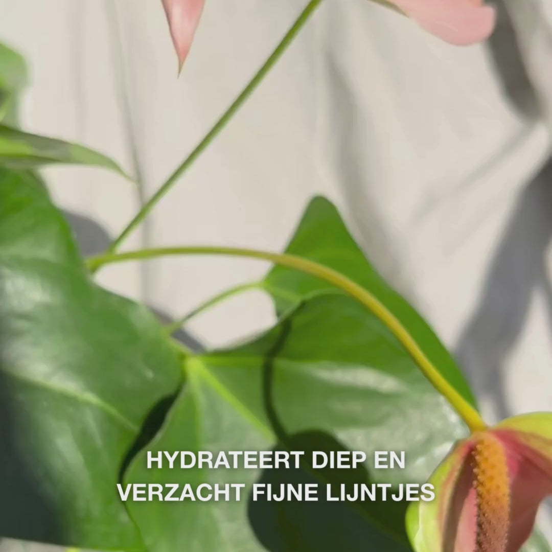 Close‑up van een hand die met een glazen pipet enkele druppels zijdezacht, helder gezichtsserum op de vingertoppen brengt en het zachtjes in licht vochtige huid masseert – de lichte, snel absorberende textuur hydrateert direct, vult fijne lijntjes op en kalmeert met 2 % hyaluronzuur, vitamine B5 en Tea Tree‑olie 
