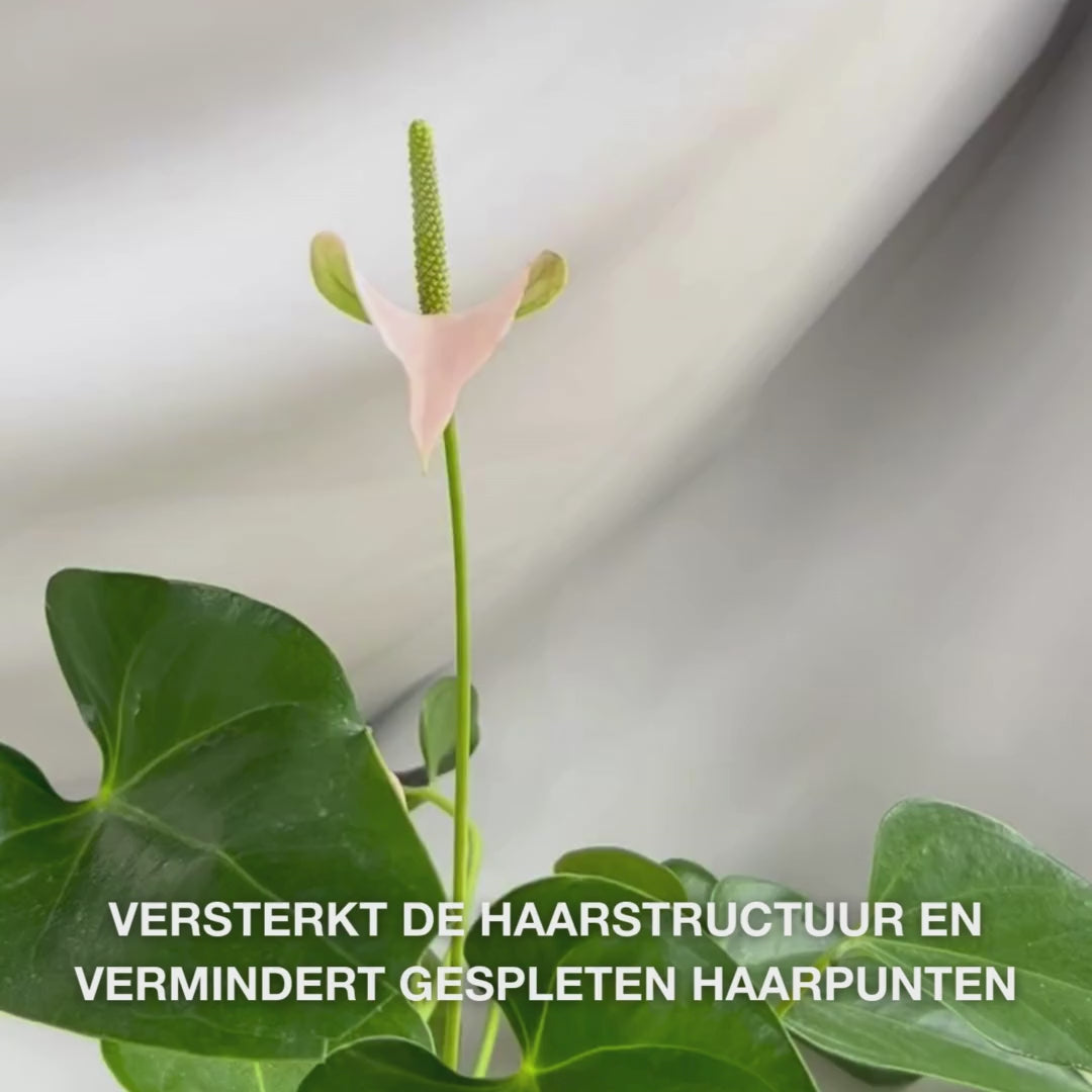 Vitamine B12 Hair Conditioner voor beschadigd haar. Bond-effect herstelt en versterkt. Met Vitamine B12, Panthenol en Elaya Renova™.