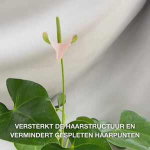 Vitamine B12 Hair Conditioner voor beschadigd haar. Bond-effect herstelt en versterkt. Met Vitamine B12, Panthenol en Elaya Renova™.