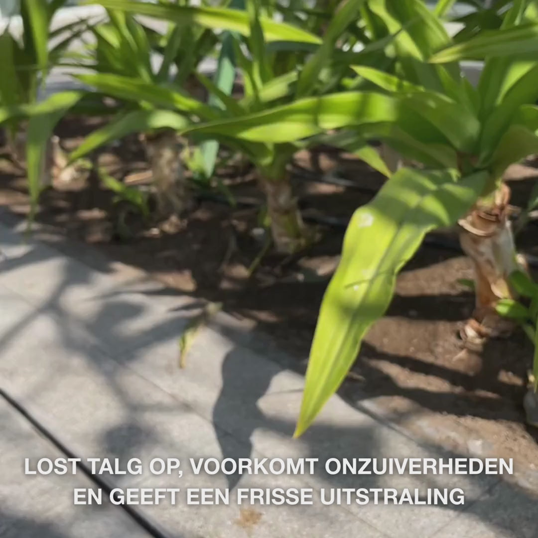 Salicylzuur Gezichtsreiniger tegen puistjes en mee-eters – reinigt poriën en vermindert vet huid