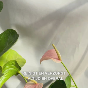 Close-up van een hand die een zachte, vochtige gezichtsdoek met Tea Tree Oil ontvouwt en deze zachtjes over de huid wrijft om make-up, olie en onzuiverheden te verwijderen—de zachte textuur en verfrissende, kalmerende werking voor gevoelige tot vette huid wordt benadrukt.