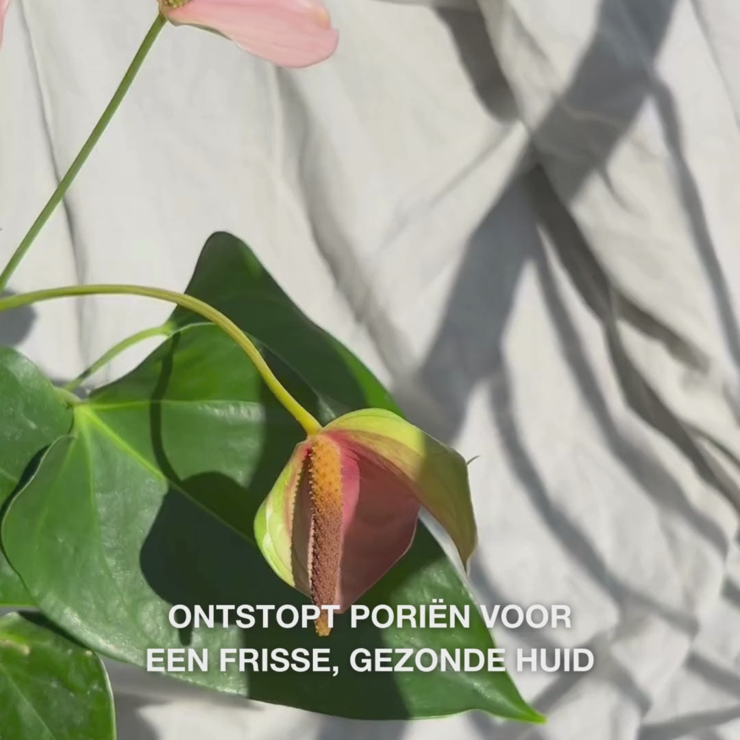 Close-up van een hand die de zachte siliconenborstel Face Scrubber in cirkelvormige bewegingen over licht vochtige gelaats-huid beweegt: de flexibele borstel exfolieert zacht, reinigt diep, verwijdert vuil en dode huidcellen en onthult een gladde textuur en een stralende huid.